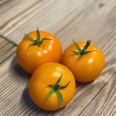 tomate jaune du domaine des bottés toqués